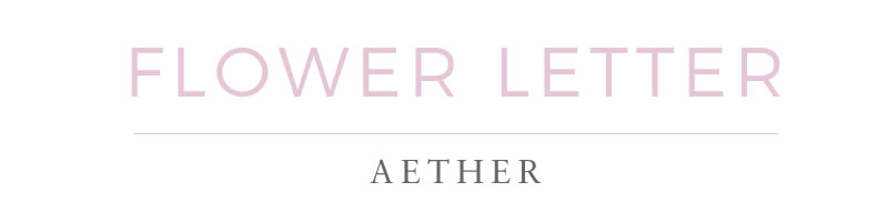 ６月２日は薔薇の日 Aether花通信