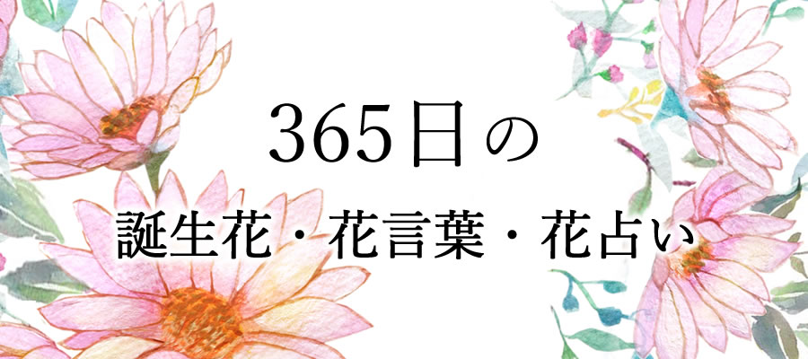 365日誕生花・花言葉・花占い
