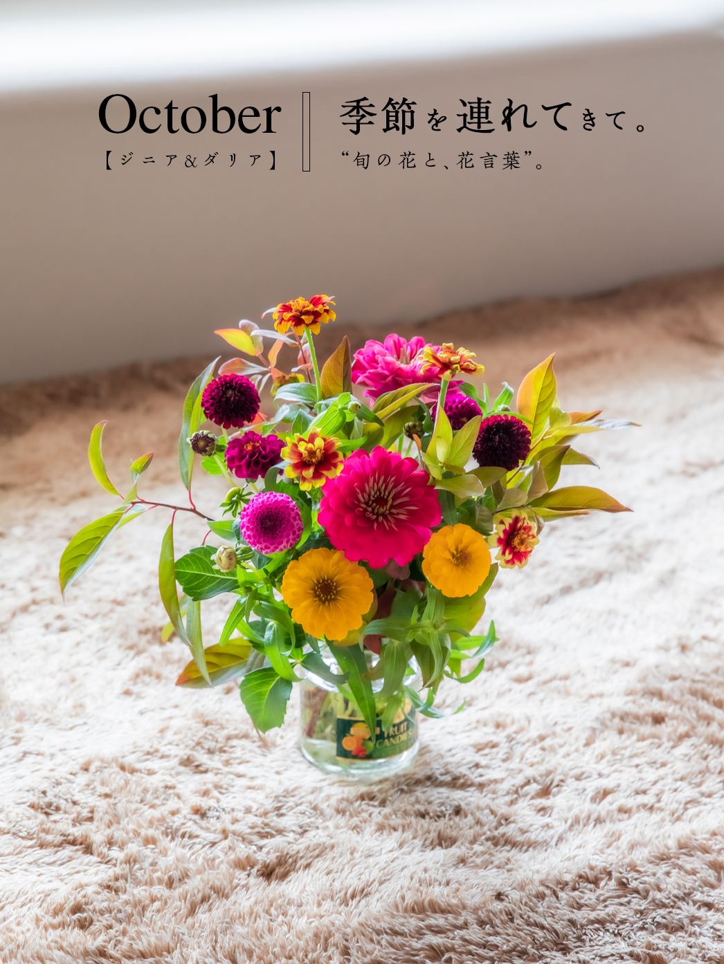 10月の花 ジニア ダリア 季節のブーケプレゼント Aether エーテル