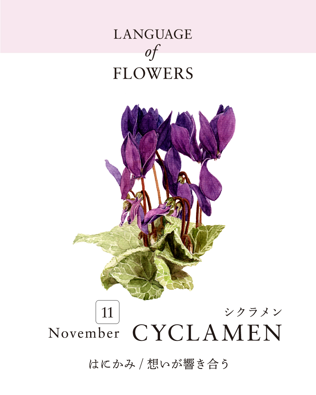 12ヶ月の誕生月花と花言葉