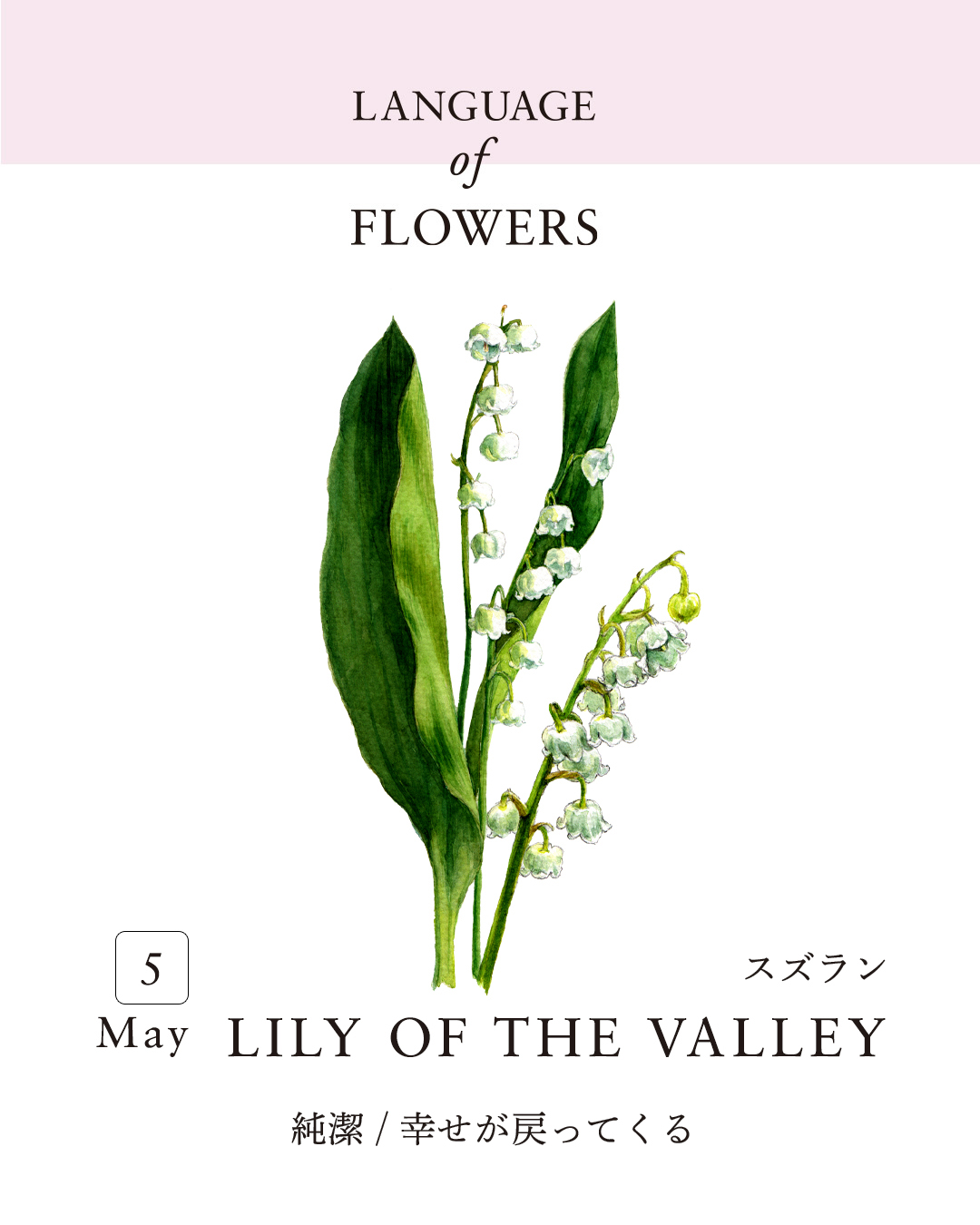 12ヶ月の誕生月花と花言葉