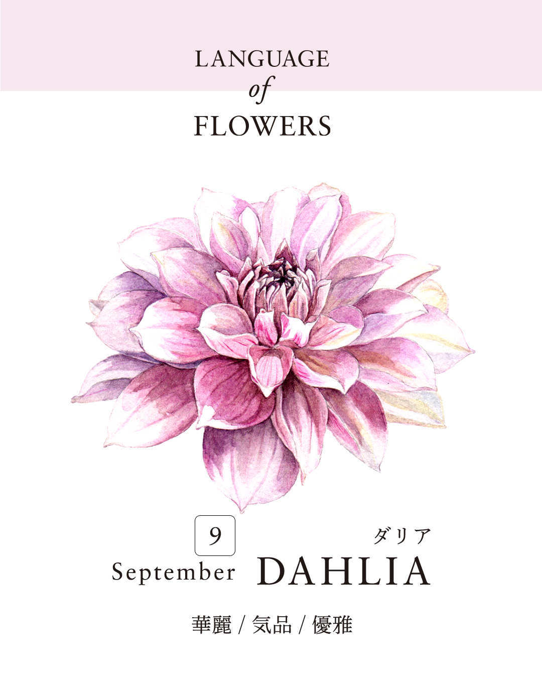 12ヶ月の誕生月花と花言葉