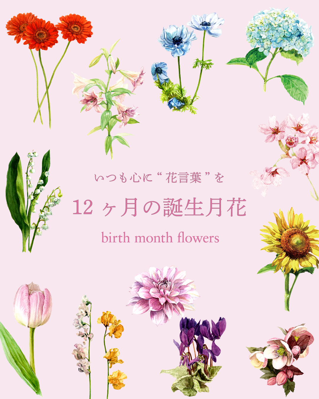 12ヶ月の誕生月花と花言葉