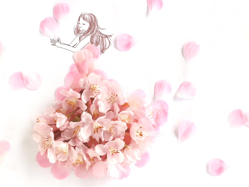 花柄財布の花：桜