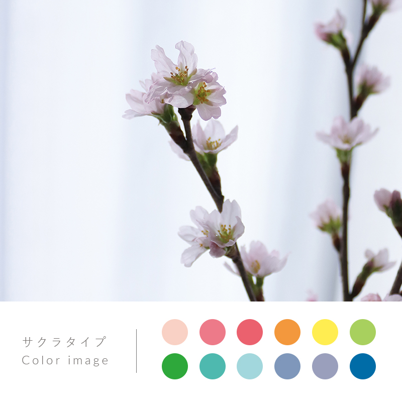あなたを花に例えたら